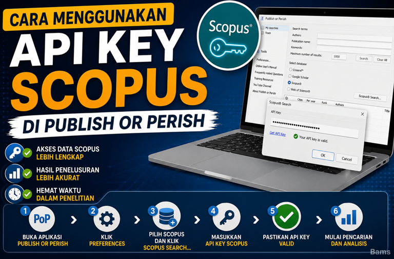 API Key Scopus