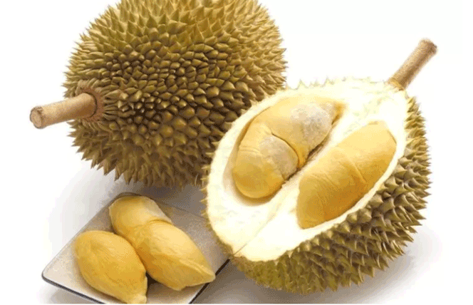 Cara memilih durian