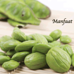 Manfaat Petai
