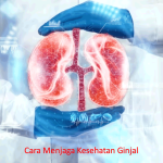 Cara Menjaga Kesehatan Ginjal