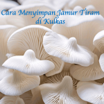 Cara Menyimpan Jamur