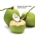 Manfaat Air Kelapa Hijau