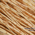 Manfaat Akar Alang-Alang