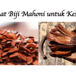 Manfaat Biji Mahoni