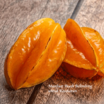 Manfaat Buah Belimbing