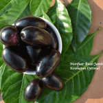 Manfaat Buah Jamblang