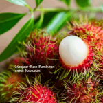 Manfaat Buah Rambutan