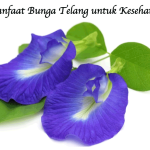 Manfaat Bunga Telang