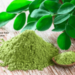 Manfaat Daun Kelor