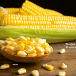 Manfaat Jagung