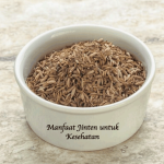 Manfaat Jinten