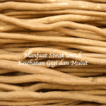 Manfaat Siwak