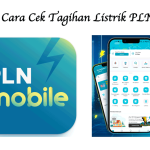 Cara Cek Tagihan Listrik