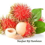 Manfaat Biji Rambutan