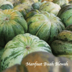 Manfaat Buah Blewah