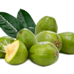 Manfaat Buah Kedondong