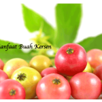 Manfaat Buah Kersen
