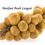 Manfaat Buah Langsat
