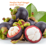 Manfaat Buah Manggis untuk Ibu Hamil