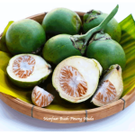Manfaat Buah Pinang Muda