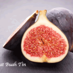 Manfaat Buah Tin