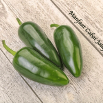 Manfaat Cabai Jalapeno