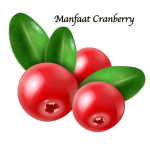 Manfaat Cranberry