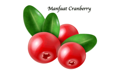 Manfaat Cranberry