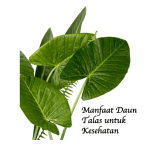 Manfaat Daun Talas