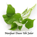 Manfaat Daun Ubi Jalar
