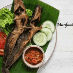 Manfaat Ikan Lele