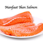 Manfaat Ikan Salmon