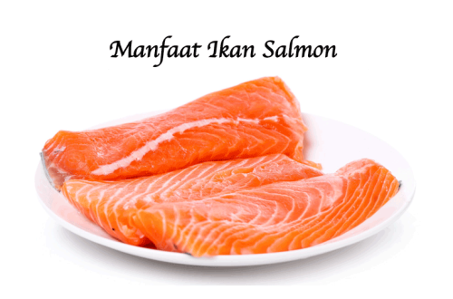 Manfaat Ikan Salmon