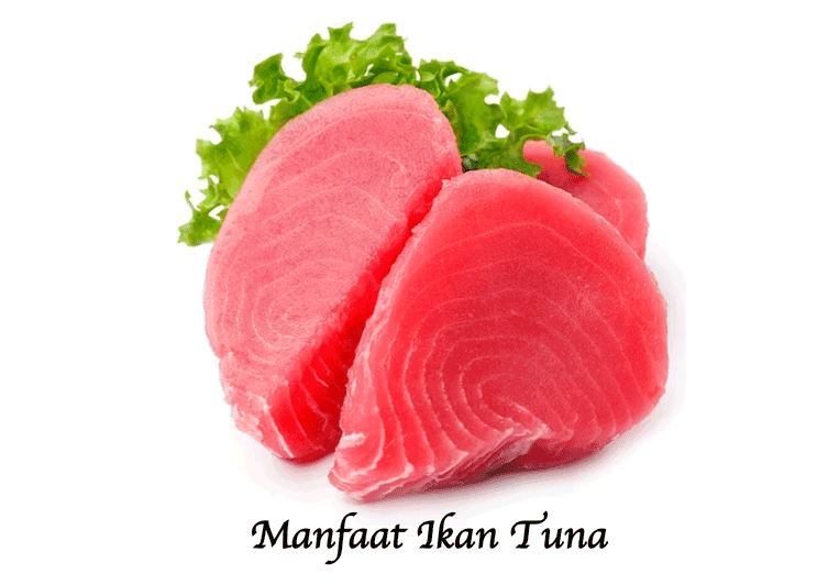 Manfaat Ikan Tuna