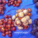 Manfaat Jengkol