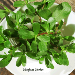 Manfaat Krokot