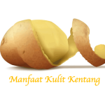 Manfaat Kulit Kentang