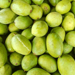 Manfaat Mangga Kweni