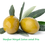 Manfaat Minyak Zaitun untuk Pria