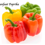 Manfaat Paprika