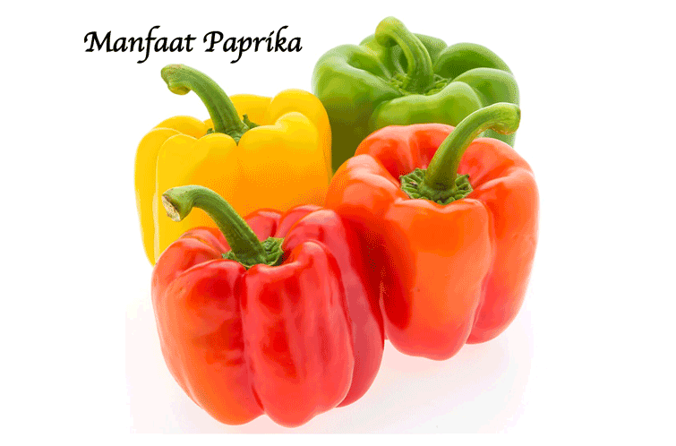 Manfaat Paprika