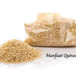 Manfaat Quinoa