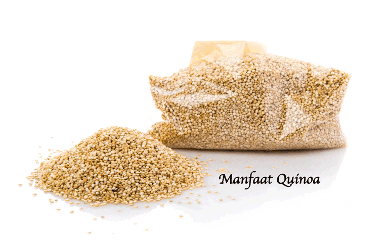 Manfaat Quinoa