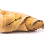 Manfaat Rebung