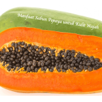 Manfaat Sabun Pepaya