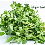 Manfaat Selada Air