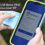 Caea Cek Bansos PKH 2024 Lewat HP