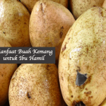 Manfaat Buah kemang untuk Ibu Hamil