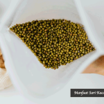 Manfaat Sari Kacang Hijau