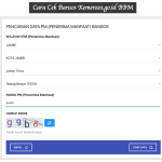 Cek Bansos Kemensos.go.id BBM
